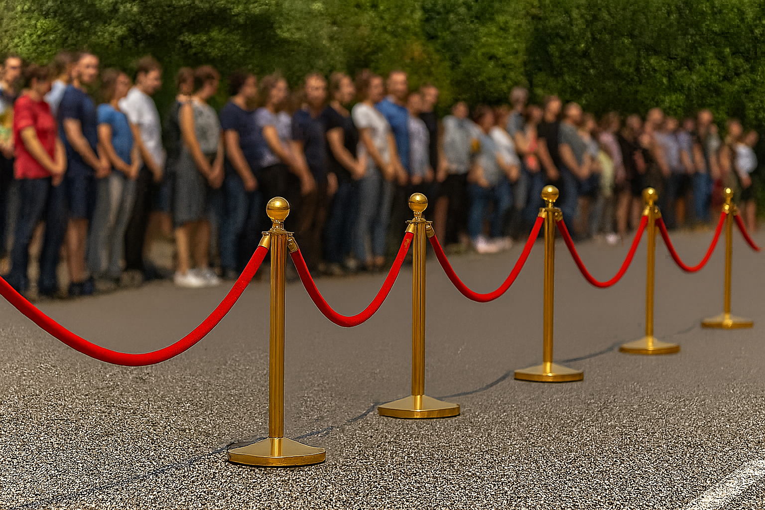 RopeMaster Queue Barrier – Professional 3