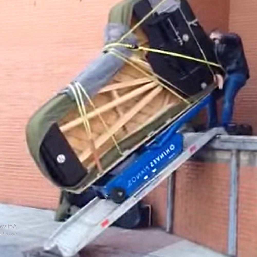 Viper Heavy-Duty Van Ramp – Max Load Strength • Anti-Slip Surface • Universal Fit for Cargo & Mobility