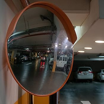External Convex Mirror with Hood 4