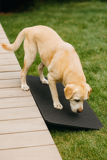 Heavy-Duty Rubber Pet Ramp | Non-Slip Steps for Small to Large Pets (25-100 mm)